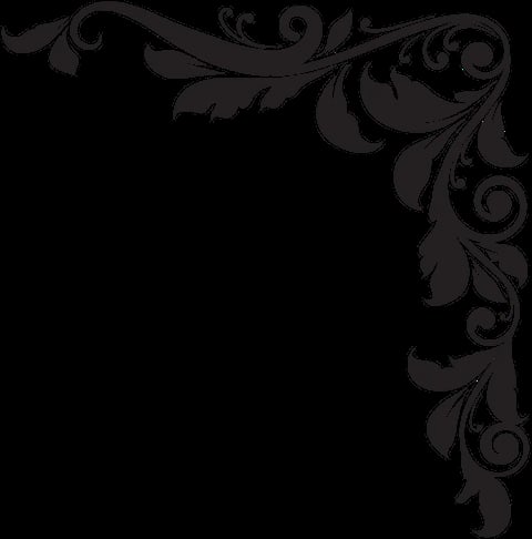 Ornate decorative corner border with floral and vine flourishes